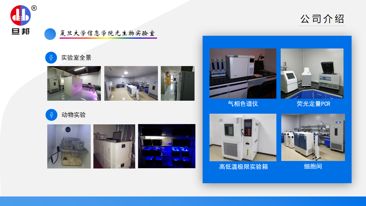 中山旦邦光电科技文化(图2)