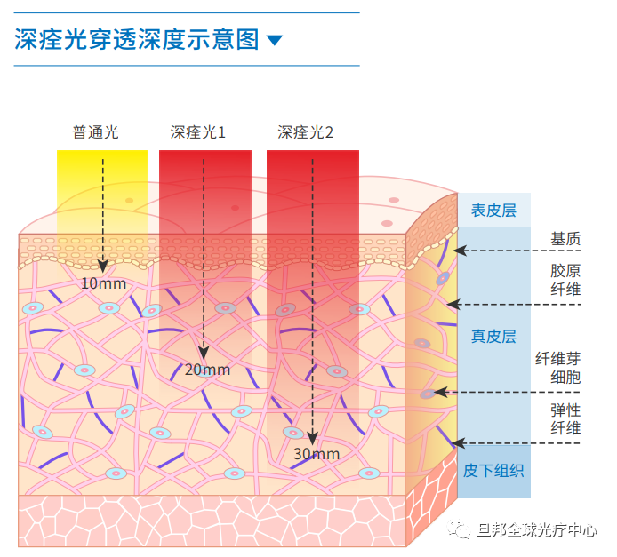这个真相,你有过亲身体验却不知道!(图6) 这个真相,你有过亲身体验却不知道!(图6)