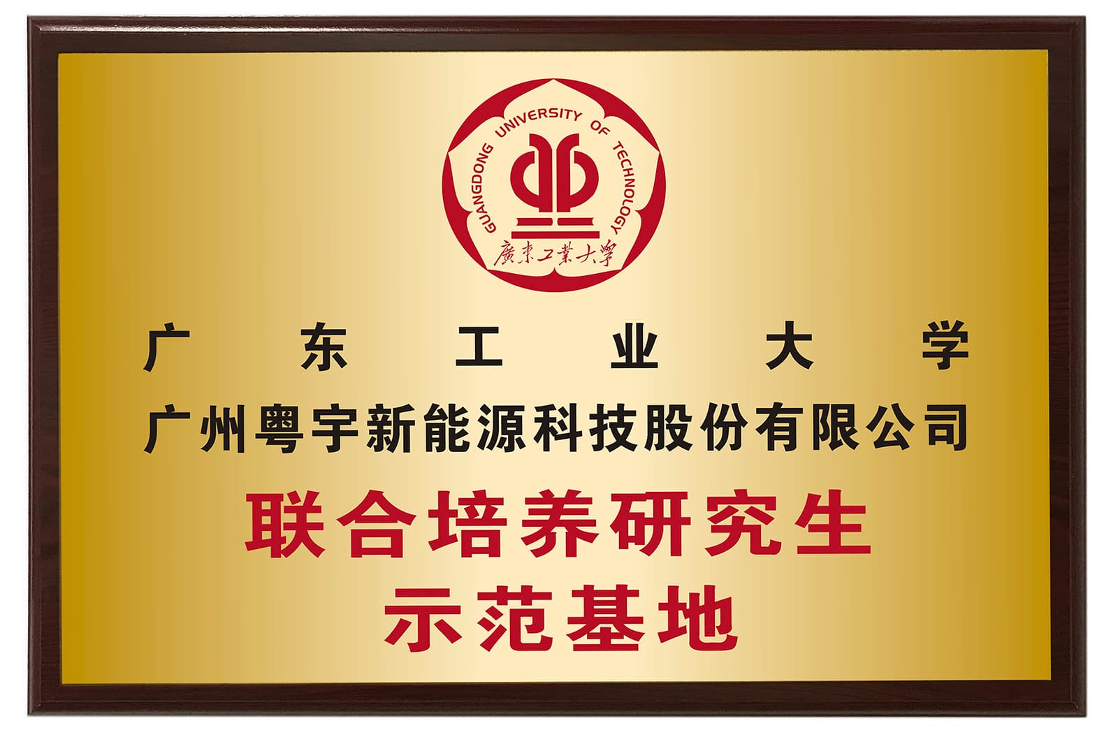 1-23100ZT214942 (2).jpg